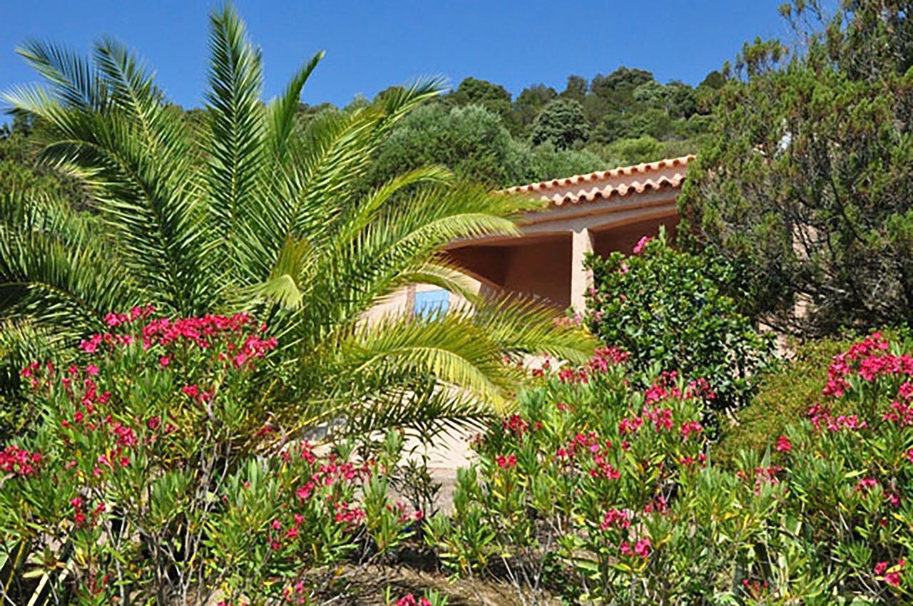 Residence U Latonu - Palombaggia Porto-Vecchio  Zewnętrze zdjęcie