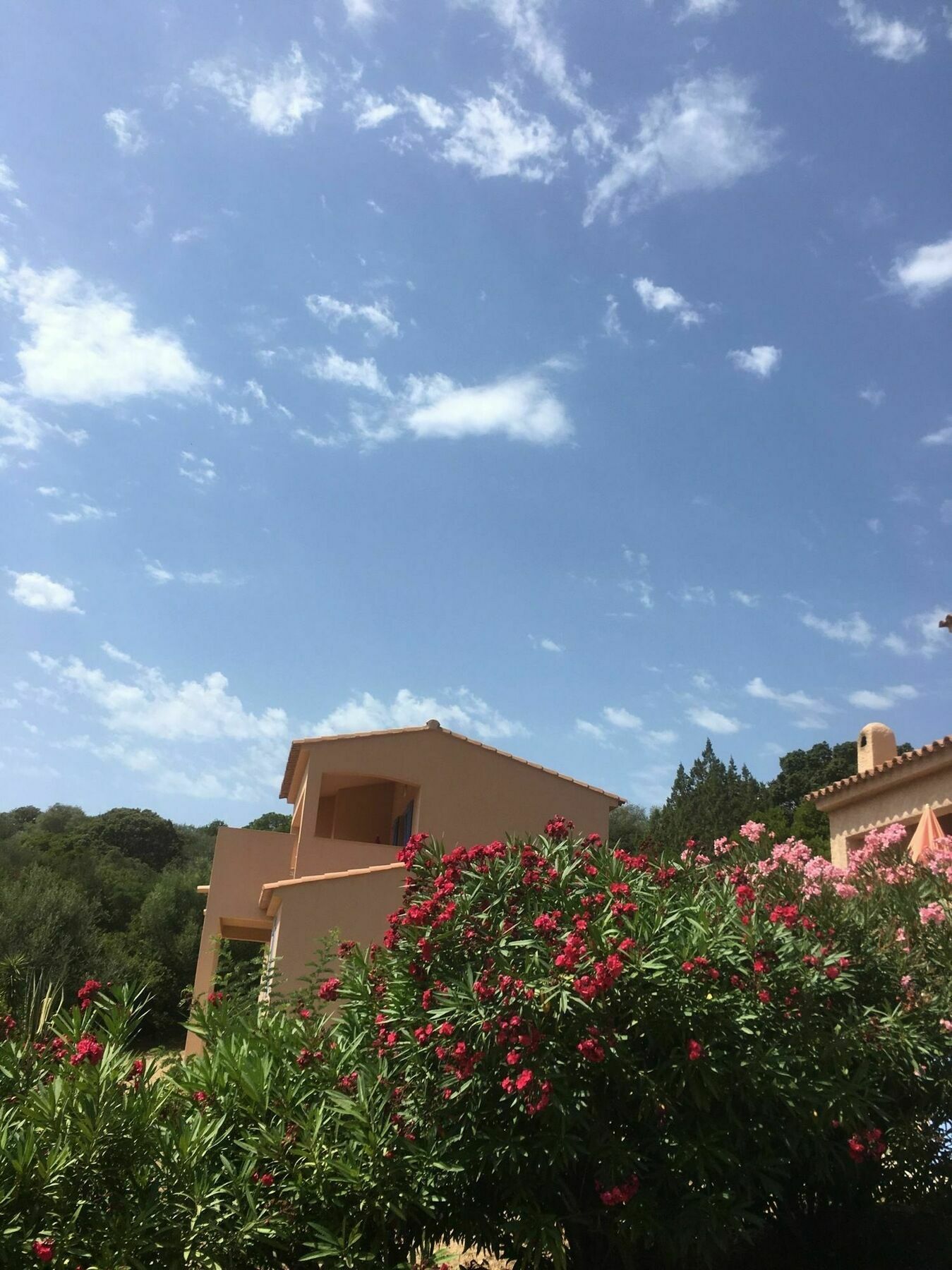 Residence U Latonu - Palombaggia Porto-Vecchio  Zewnętrze zdjęcie